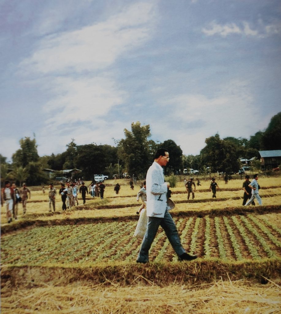紳士なジャズマンのタイの国王