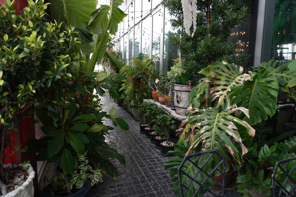 僕らはヴィンテージを探しに、チャトチャックへ向かう